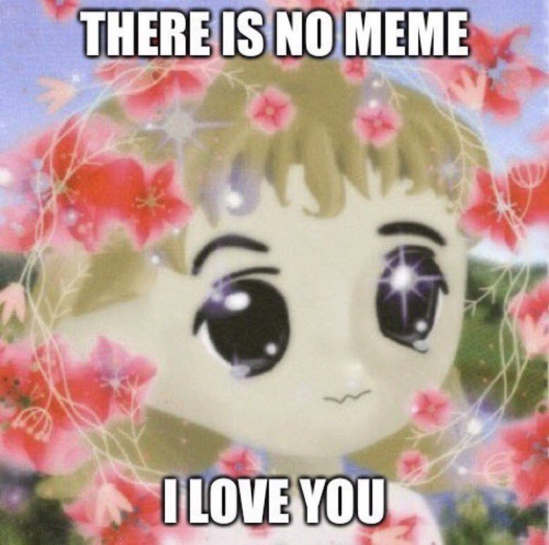 There is no meme, I love you